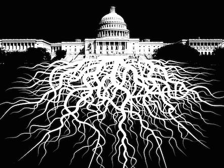 Capitol building with roots below